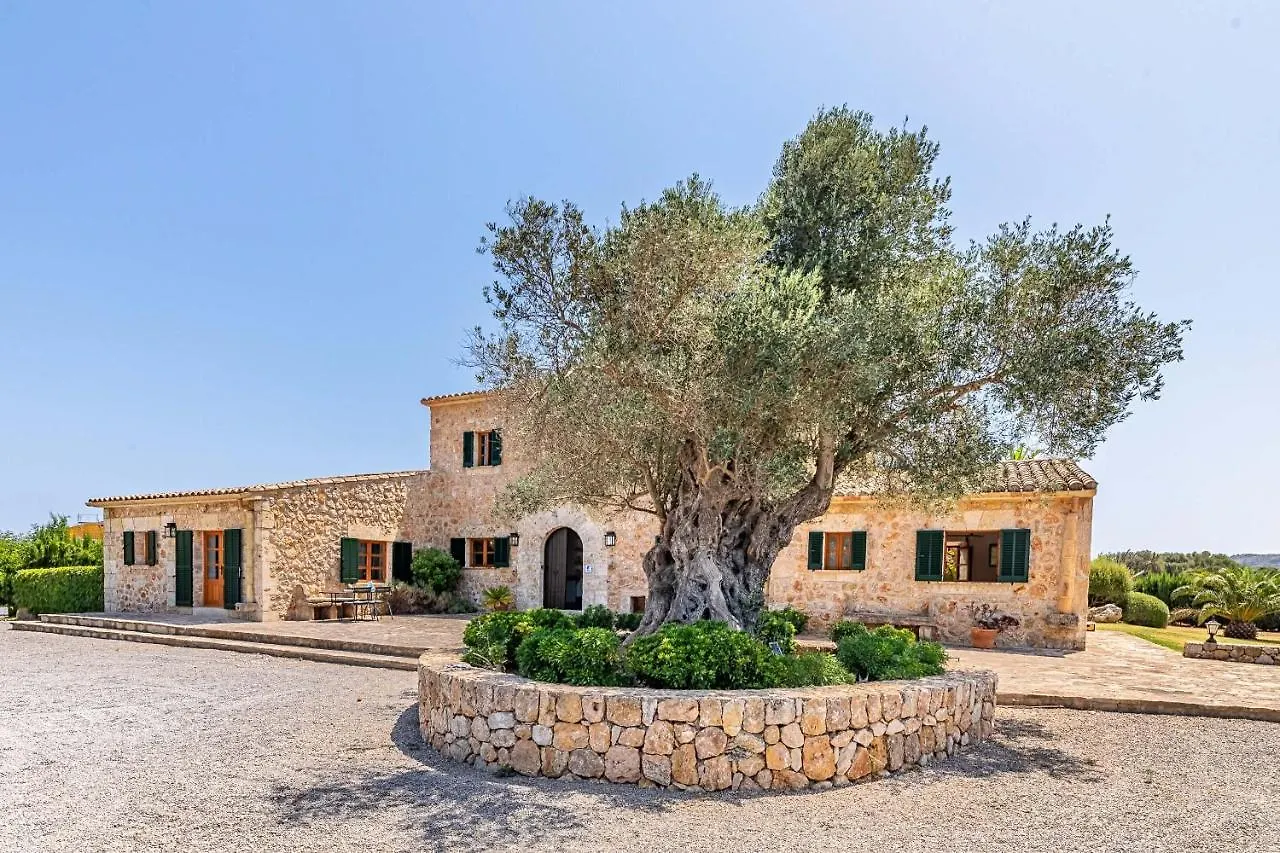 Villa Can Paroya By Sealand Villas Alcudia  0*, Alcudia (Mallorca) Spain